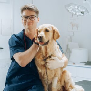 Curso de Urgencias y Cuidados Críticos en Pequeños Animales