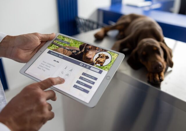 Curso de Gestión y Comunicación en Clínicas Veterinarias