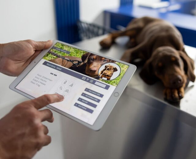 Curso de Gestión y Comunicación en Clínicas Veterinarias